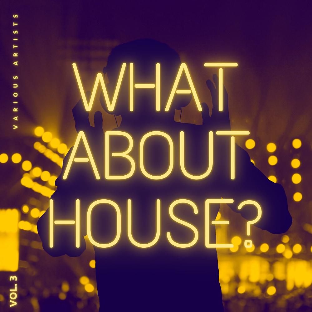 Постер альбома What About House, Vol. 3