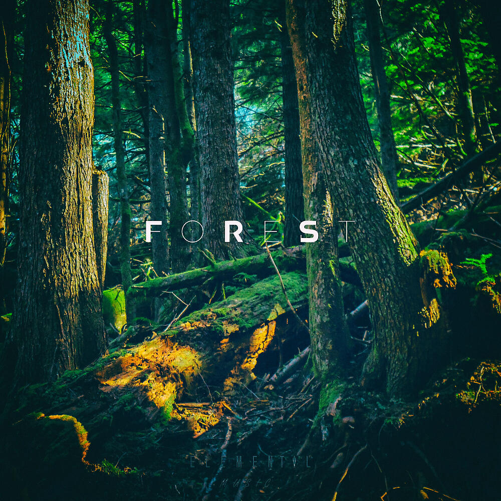 E.Lemental - Forest (Original Mix)