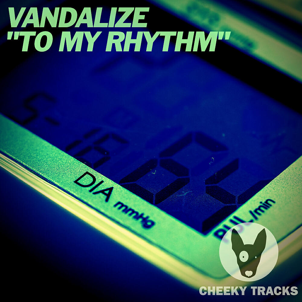 Vandalize - To My Rhythm (Original Mix)