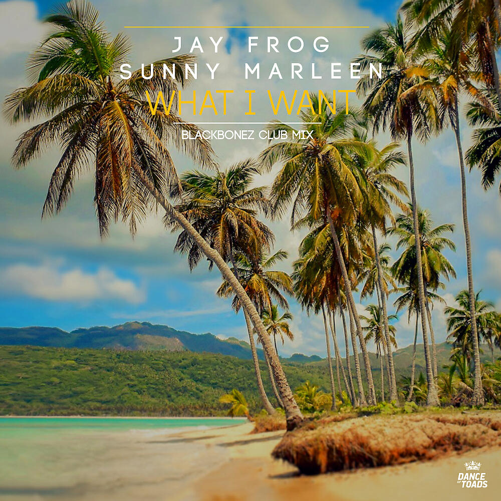 Jay Frog - What I Want (BlackBonez Extended Remix)