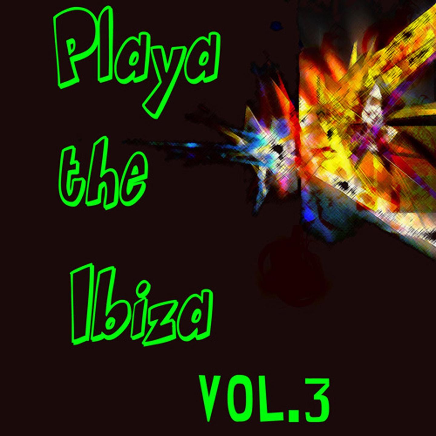 Постер альбома Playa de Ibiza, Vol. 3