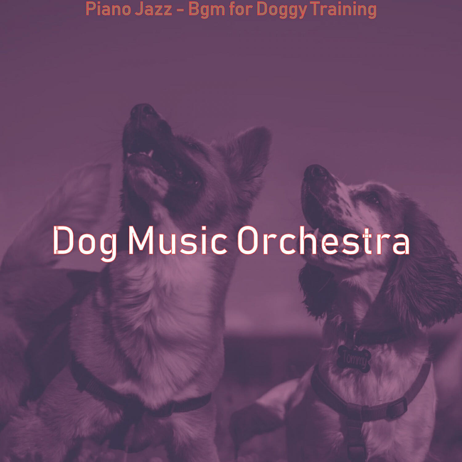 Dog Music Orchestra - Serene Solo Piano Jazz - Vibe for Resting Dogs