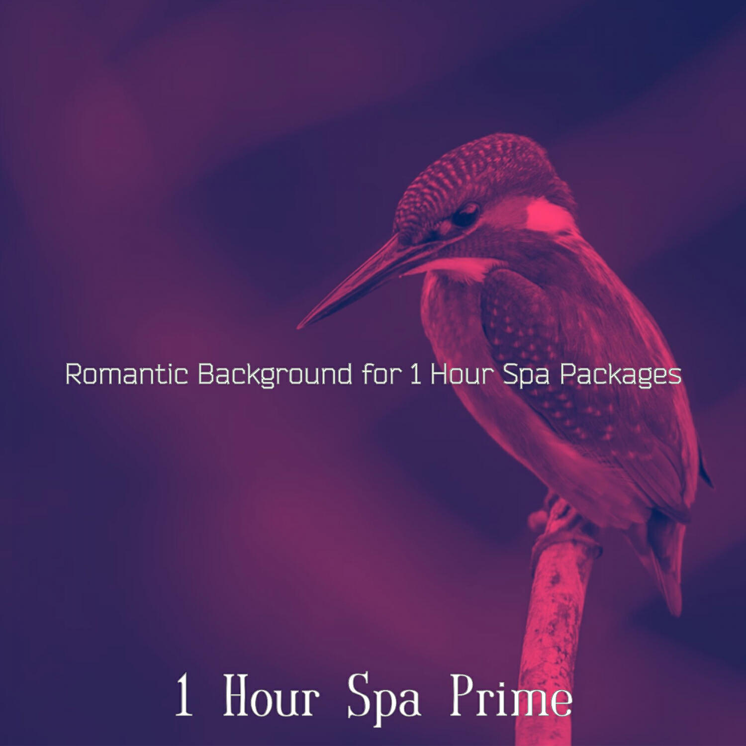 1 Hour Spa Prime - Paradise Like Self Care