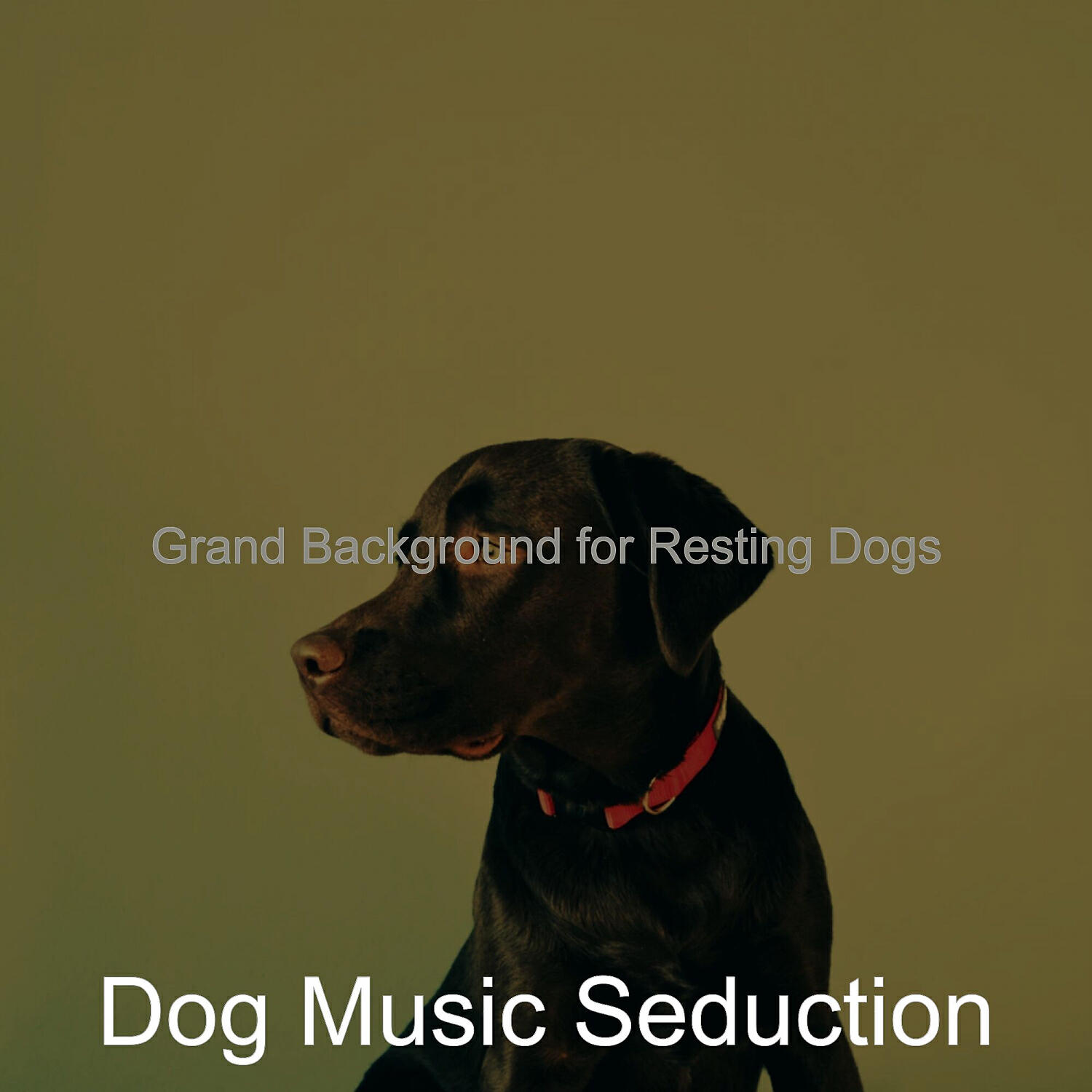 Dog Music Seduction - Phenomenal Moods for Doggy Training