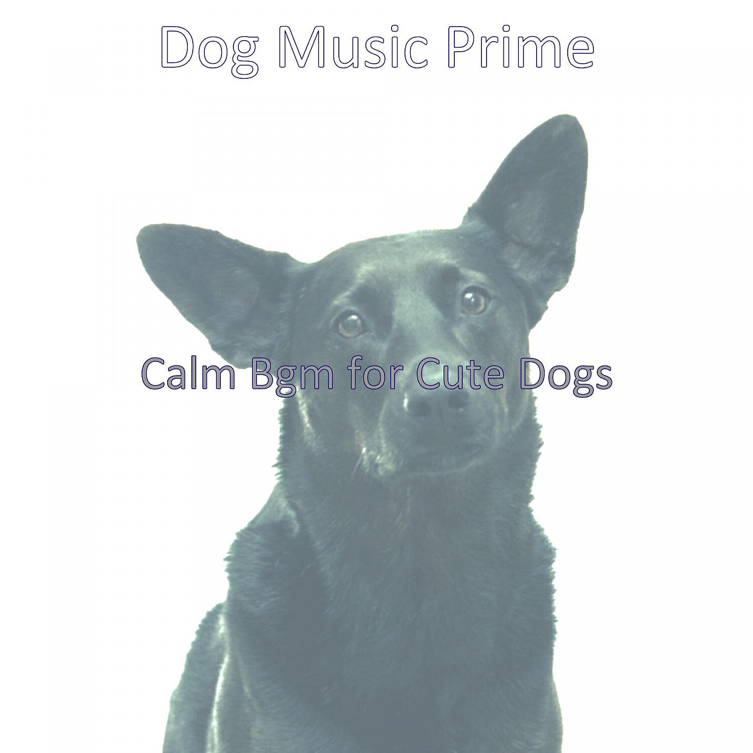 Dog Music Prime - Fashionable Solo Piano Jazz - Vibe for Separation Anxiety