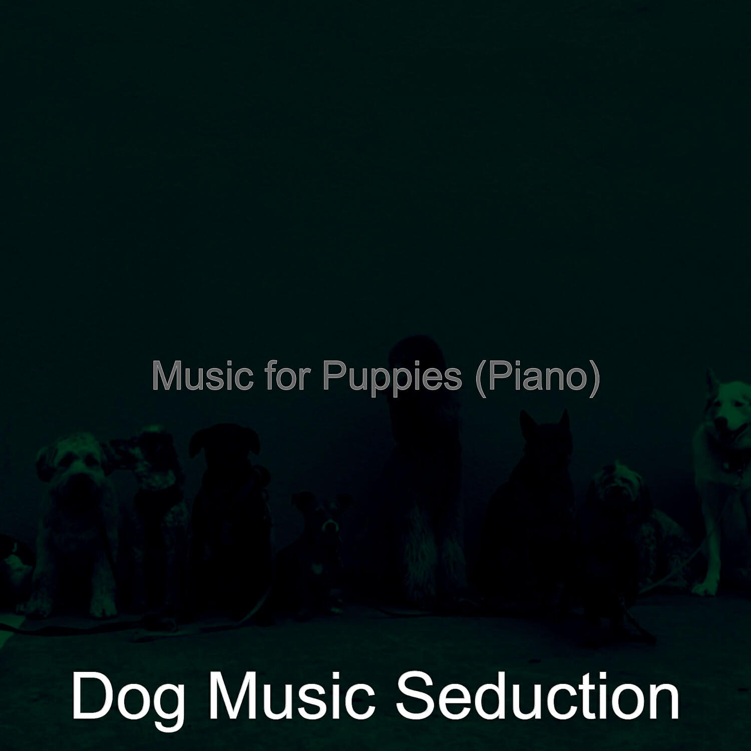 Dog Music Seduction - Fiery Backdrops for Resting Dogs