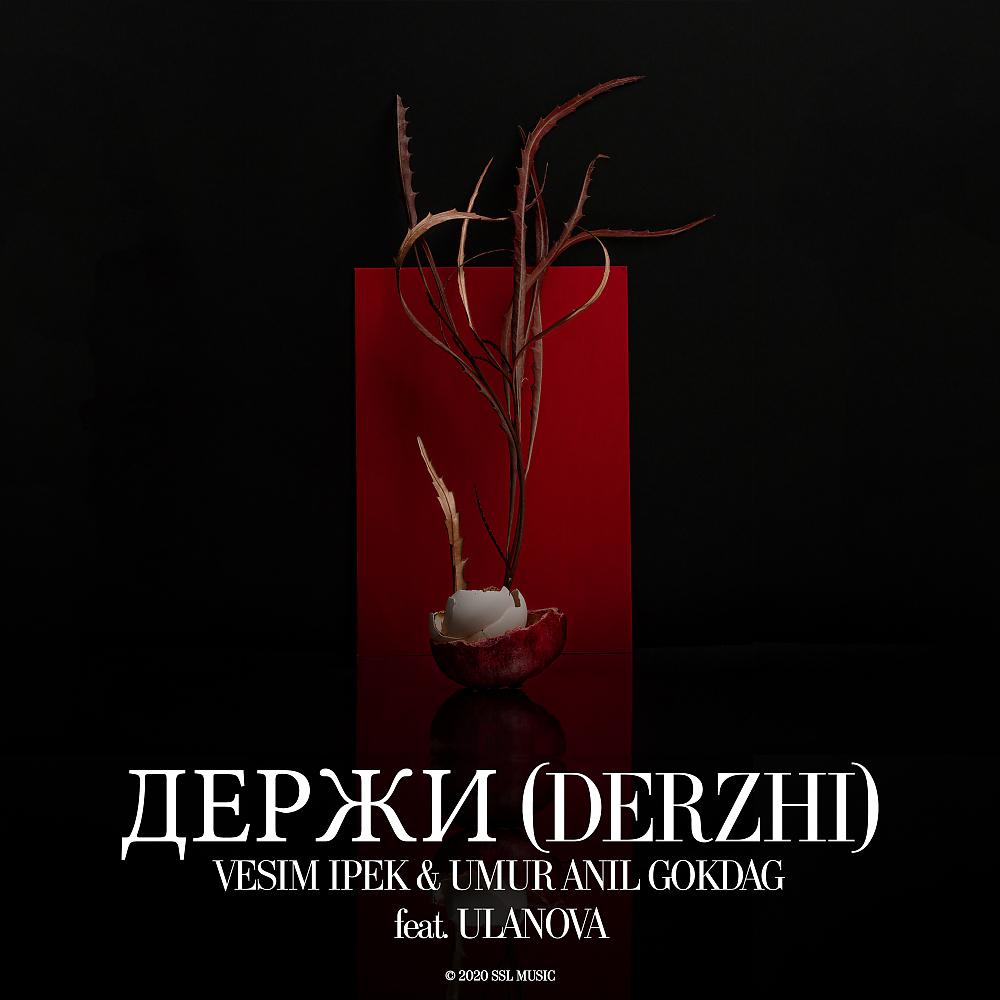 Постер альбома Держи (Derzhi)