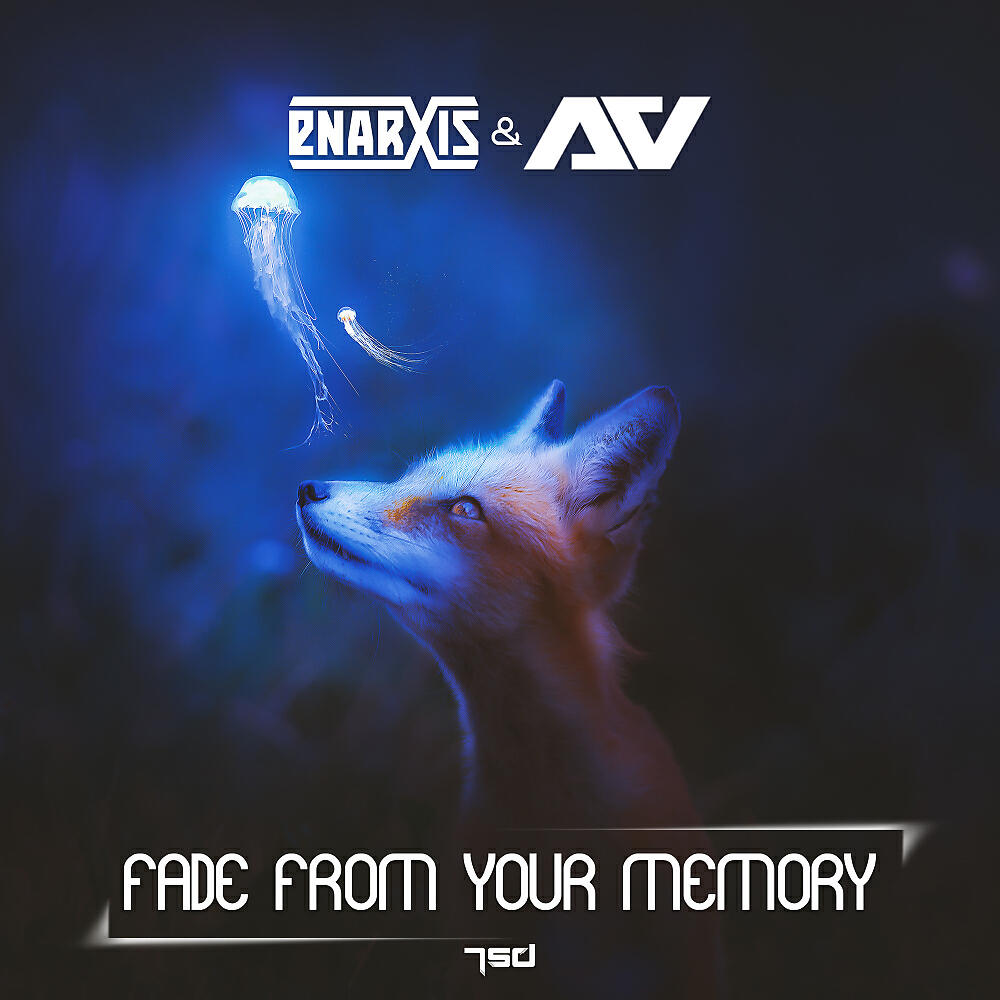 Enarxis - Fade From Your Memory (Original Mix)