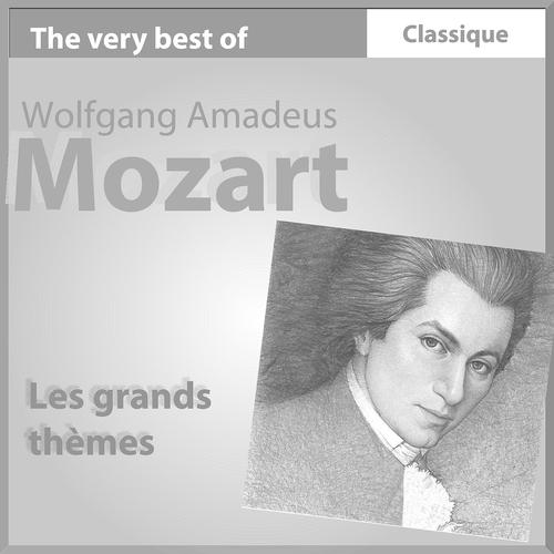 Постер альбома Mozart : Les grands thèmes