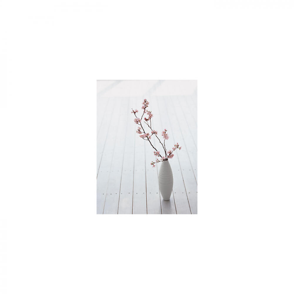 Mindfulness Healing BGM Project - Duck & Sleep (Original Mix)
