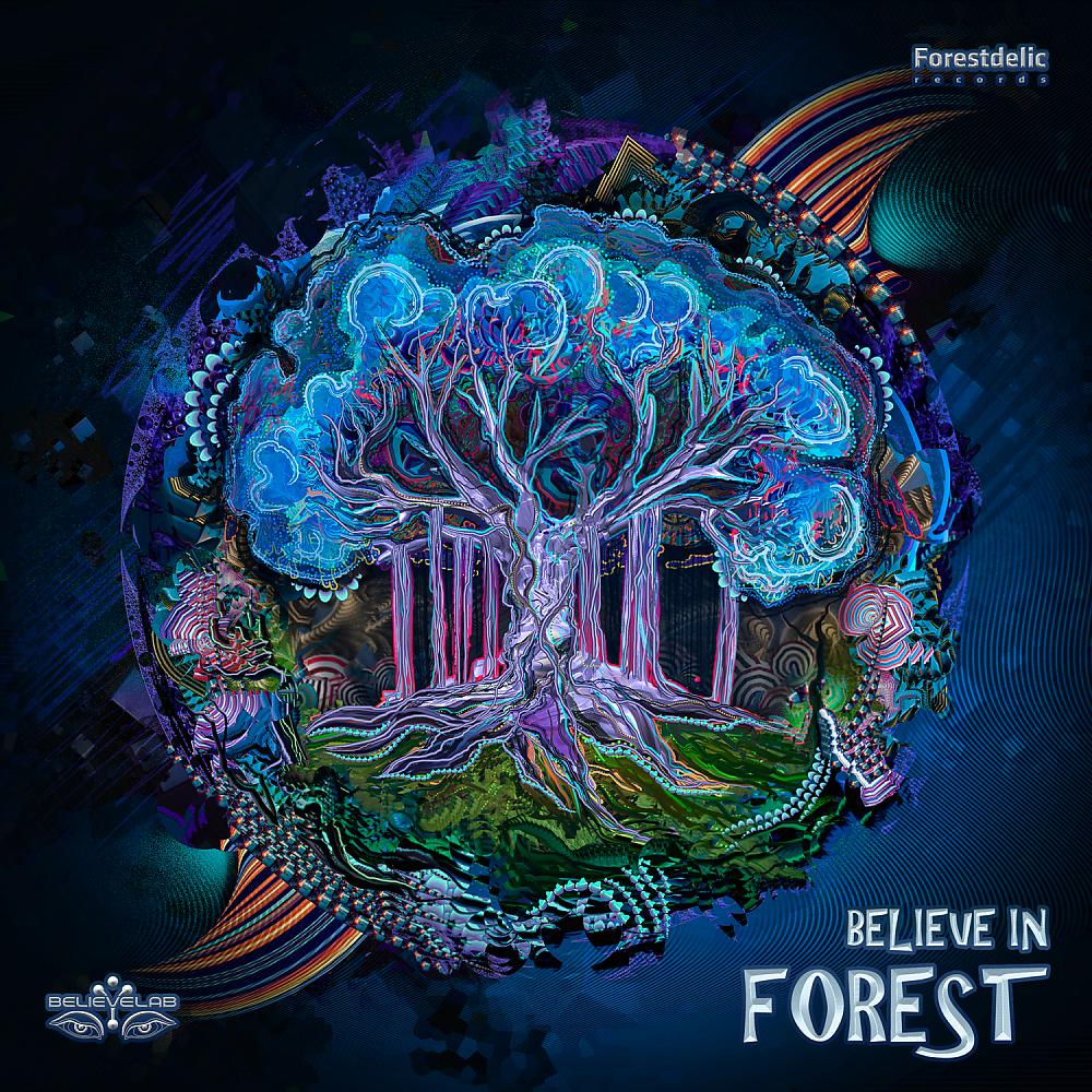 Постер альбома Believe in Forest