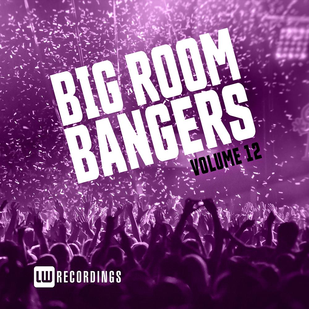 Постер альбома Big Room Bangers, Vol. 12