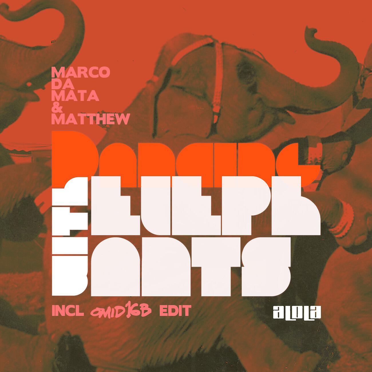 Marco Da Mata - Dancing With Elephants (Yvel & Tristan Remix)