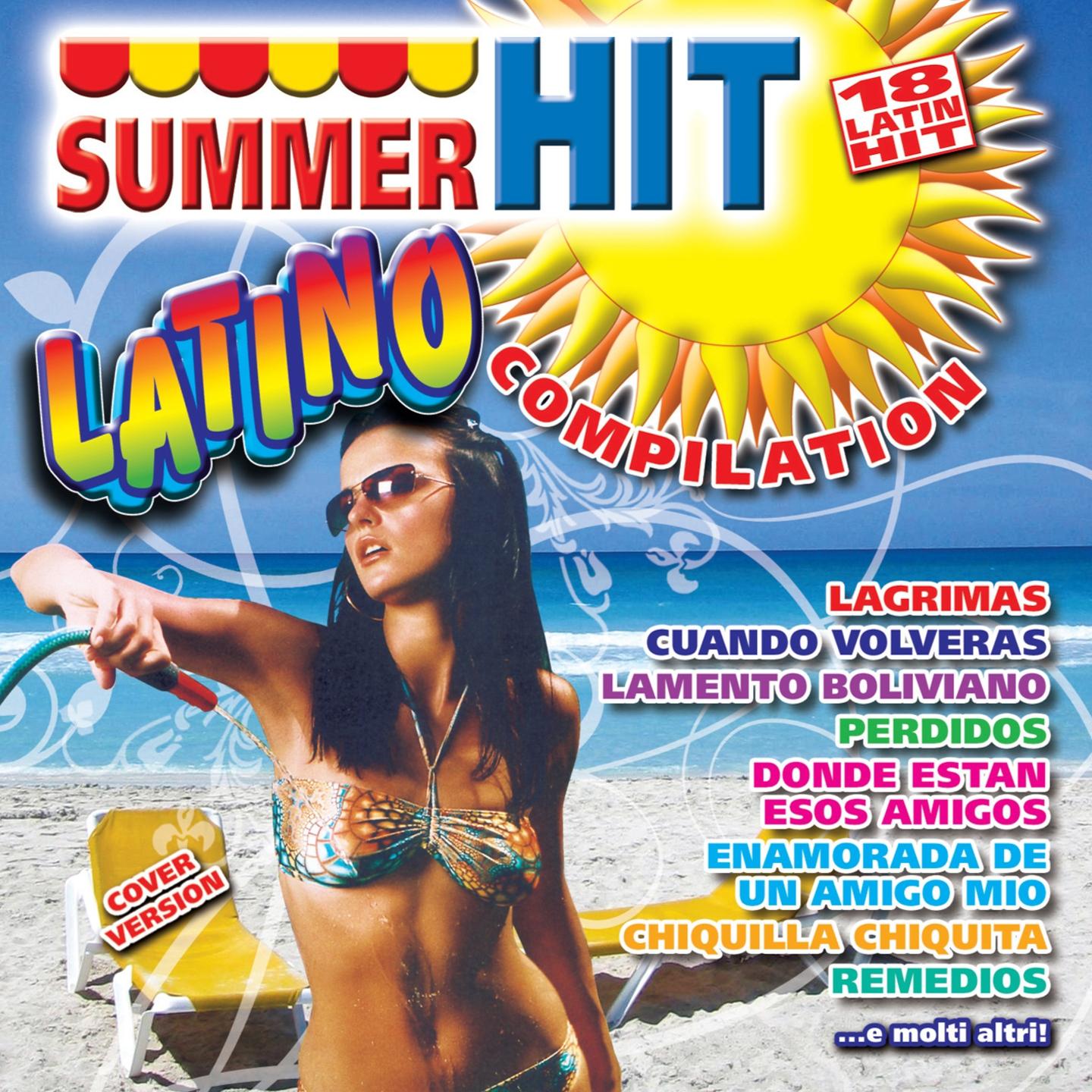 Постер альбома Summer Hit Latino