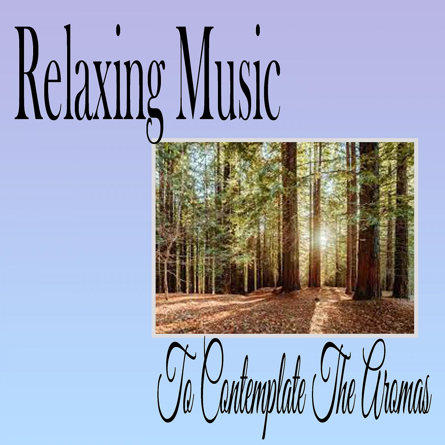 Постер альбома Relaxing Music To Contemplate The Aromas