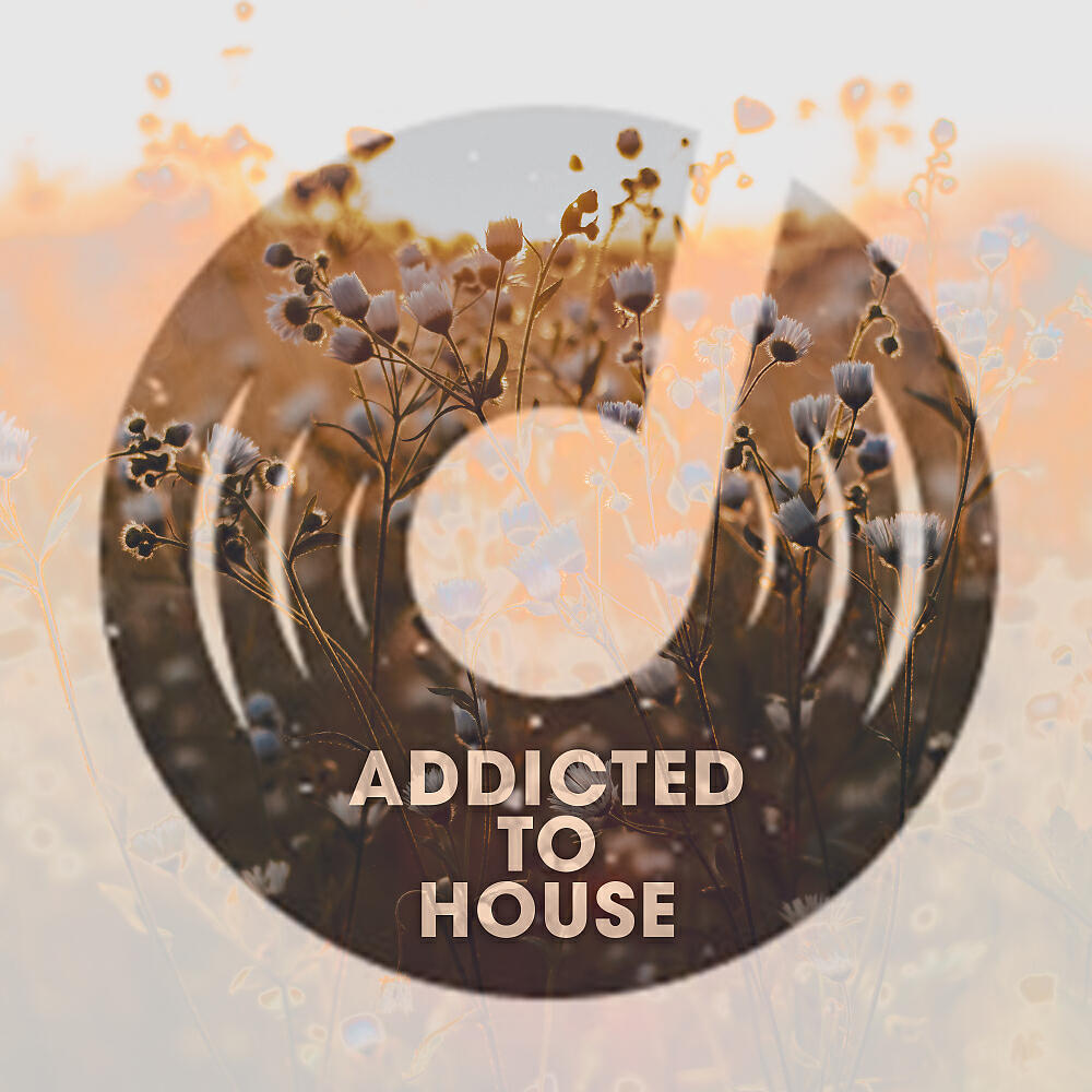 SAMO - Gimme All Your Loving (84Bit Remix)