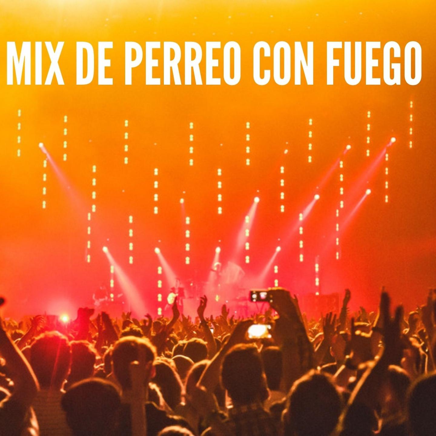 Постер альбома Mix de Perreo Con Fuego
