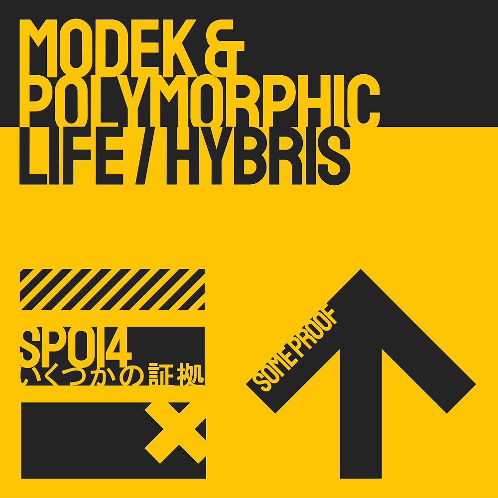 Постер альбома Life / Hybris
