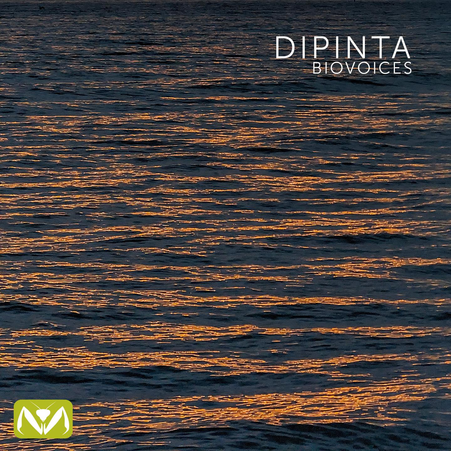 Постер альбома Dipinta