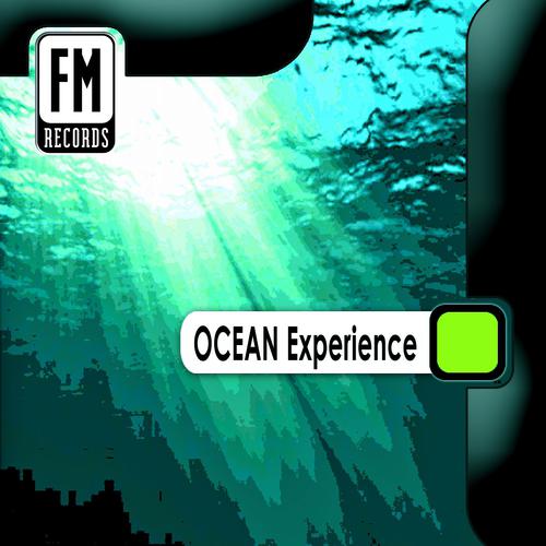 Постер альбома Ocean Experience