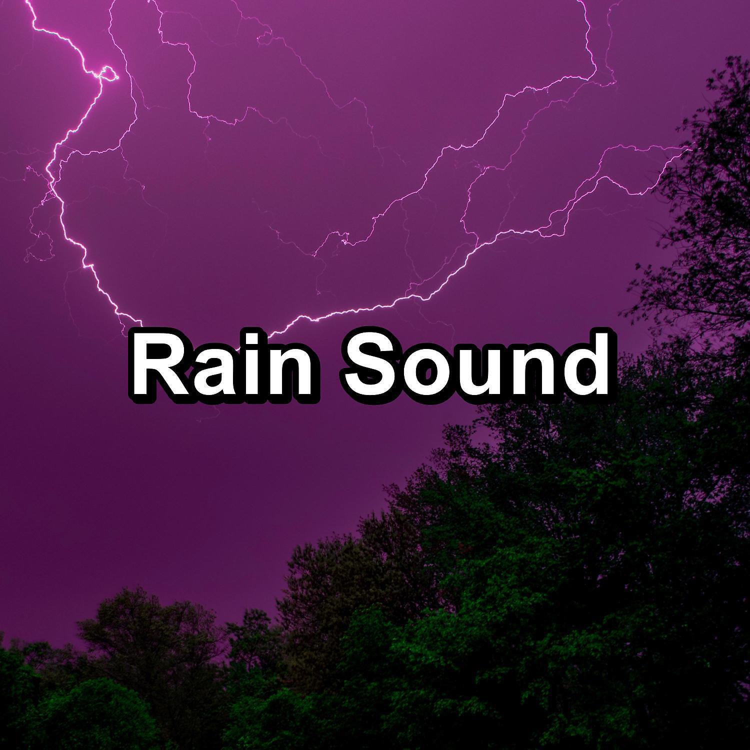 Rain Sounds Sleep - Moderate Rain with Thunder and White Noise To Help Your Baby Sleep