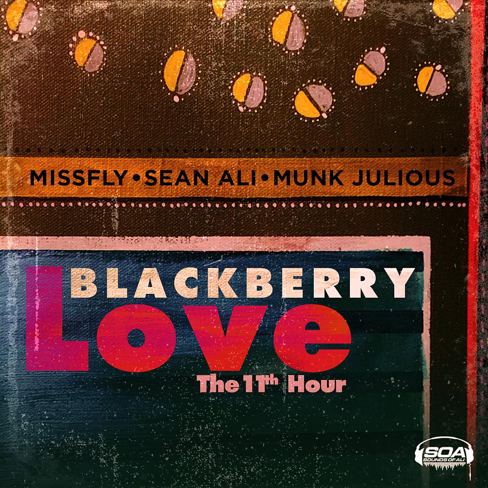 Постер альбома Black Berry Love The 11th Hour