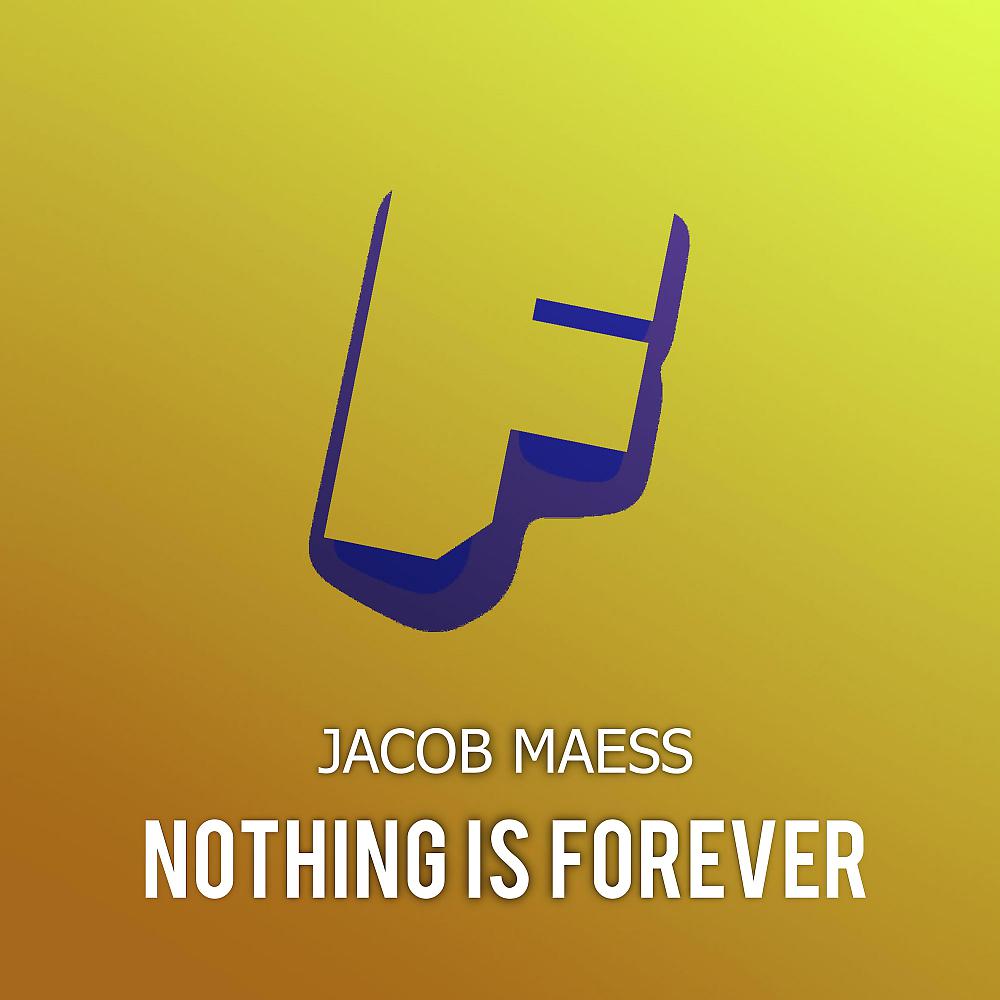Постер альбома Nothing Is Forever