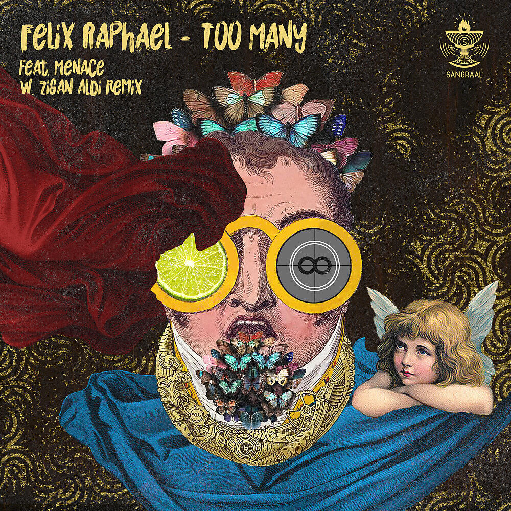 Felix Raphael - Too Many (Zigan Aldi Remix)