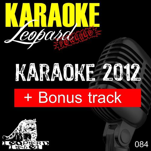 Leopard Powered - Firework (Karaoke Version In the Style of Katy Perry)