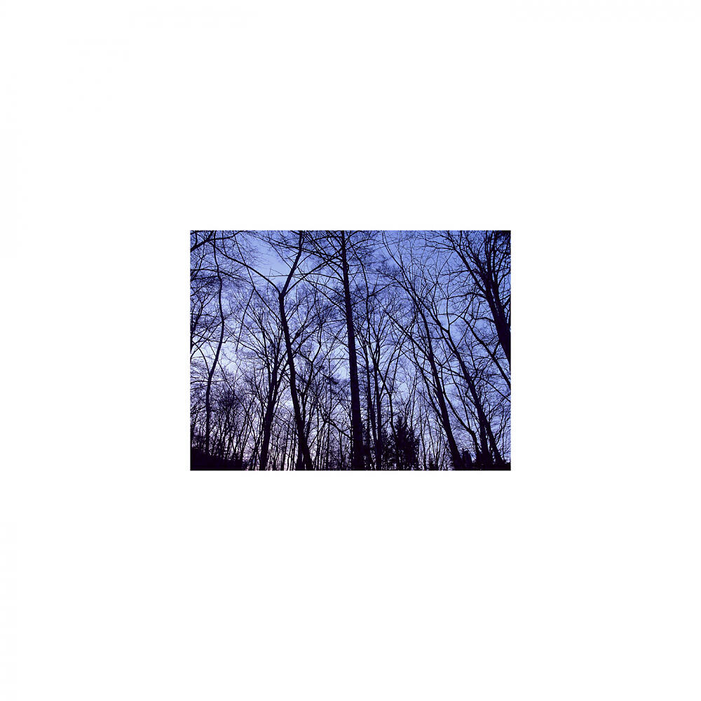 Mindfulness Healing BGM Project - Aristotle & Contingency Map (Original Mix)