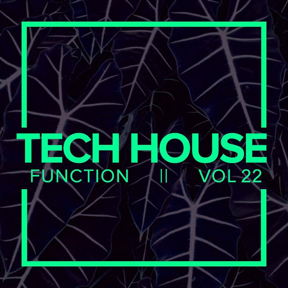 Постер альбома Tech House Function, Vol.22