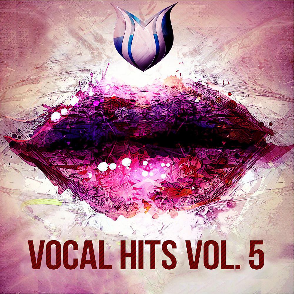 Постер альбома Vocal Hits, Vol. 5
