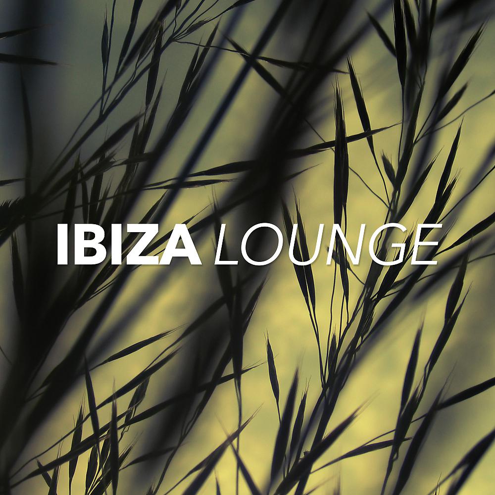 Постер альбома Ibiza Lounge