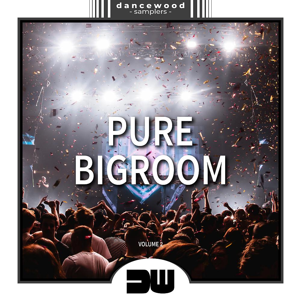 Постер альбома Pure Bigroom, Vol. 2