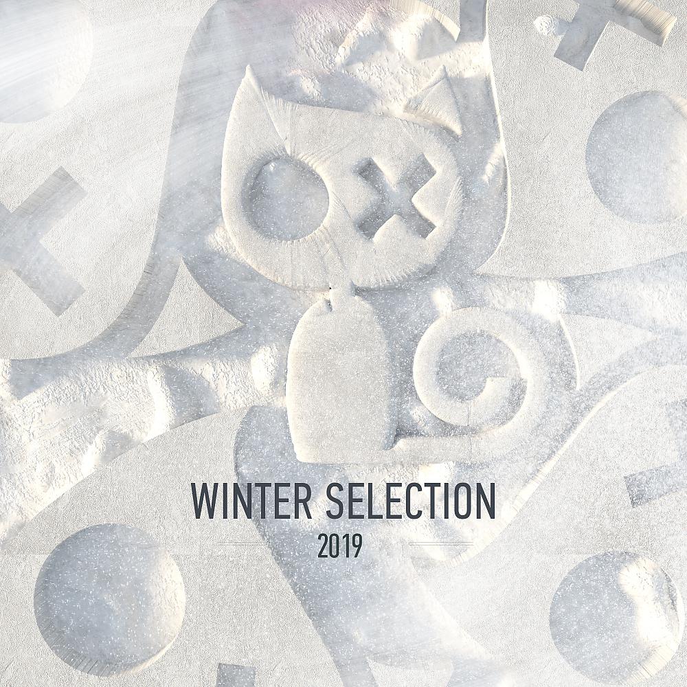 Постер альбома Winter Selection 2019
