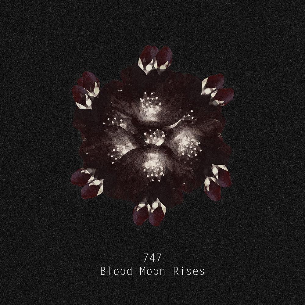 Постер альбома Blood Moon Rises