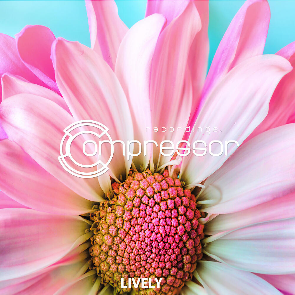 Flagman Djs - Muvas (Oziriz & Dura Remix)