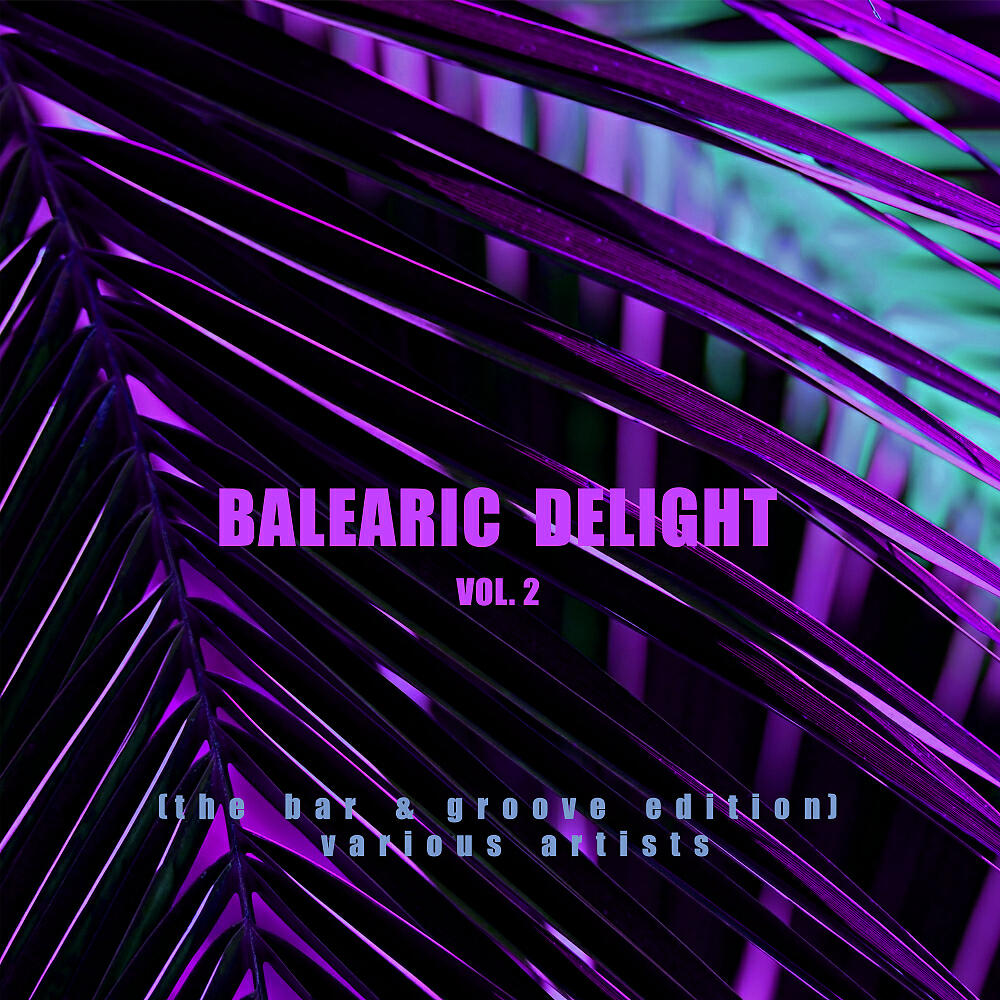 Solid Phonic - Deep City Nights
