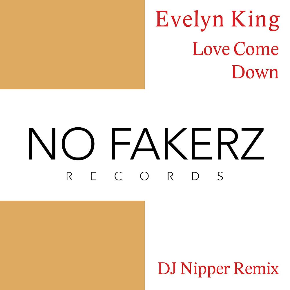 Постер альбома Love Come Down (DJ NiPPER Remix)