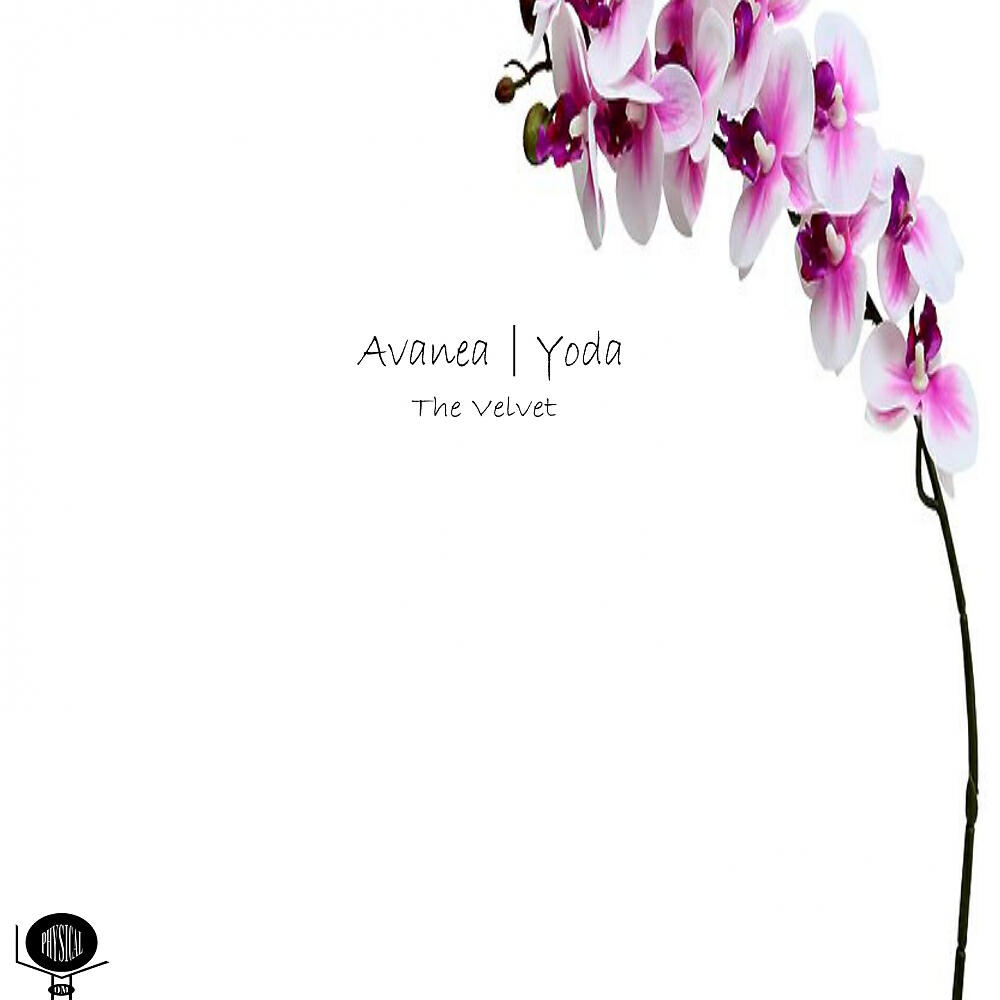 Avanea - The Velvet (RVP Remix)