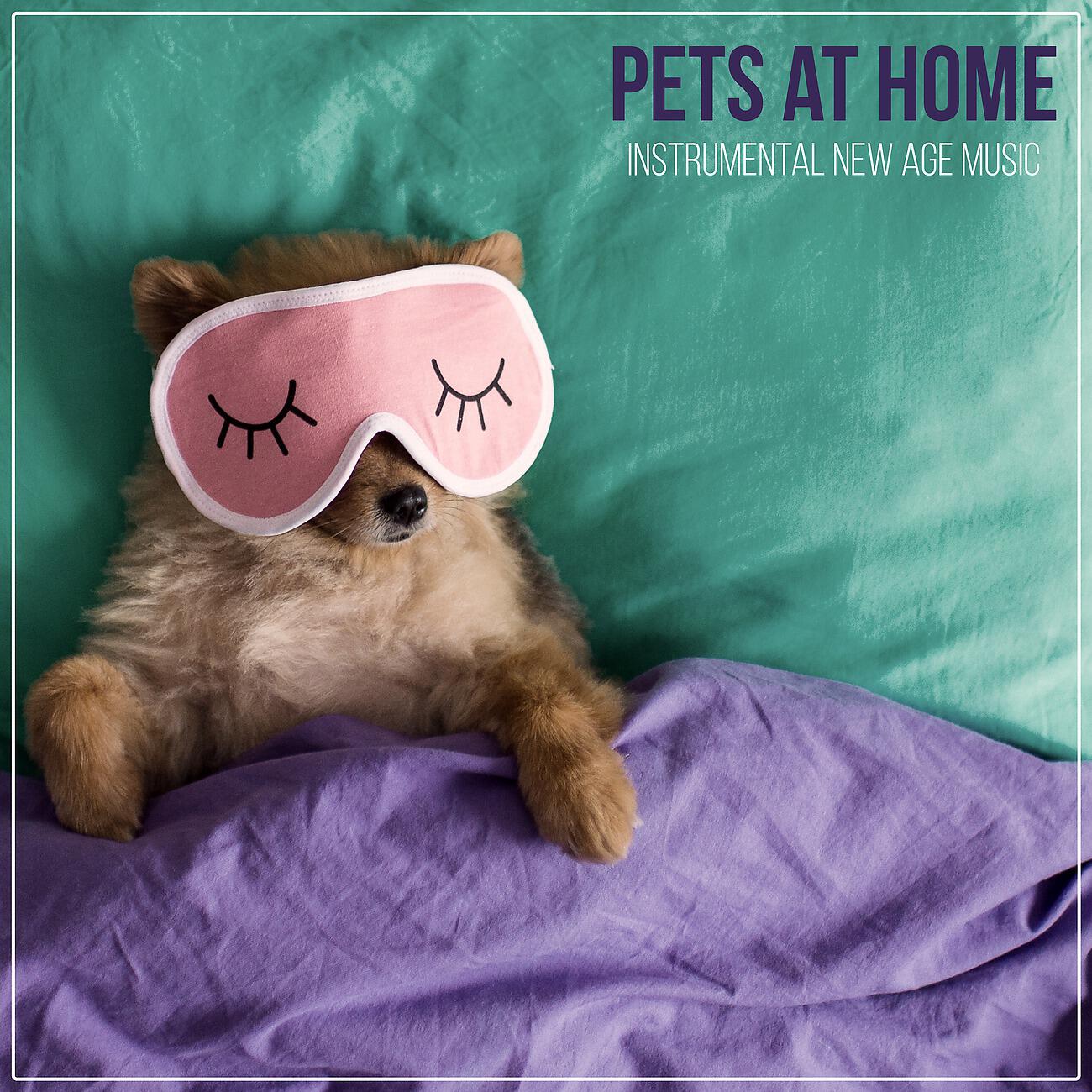 Calm Pets Music Academy - Relaxing Dog Music (New Age Sounds)