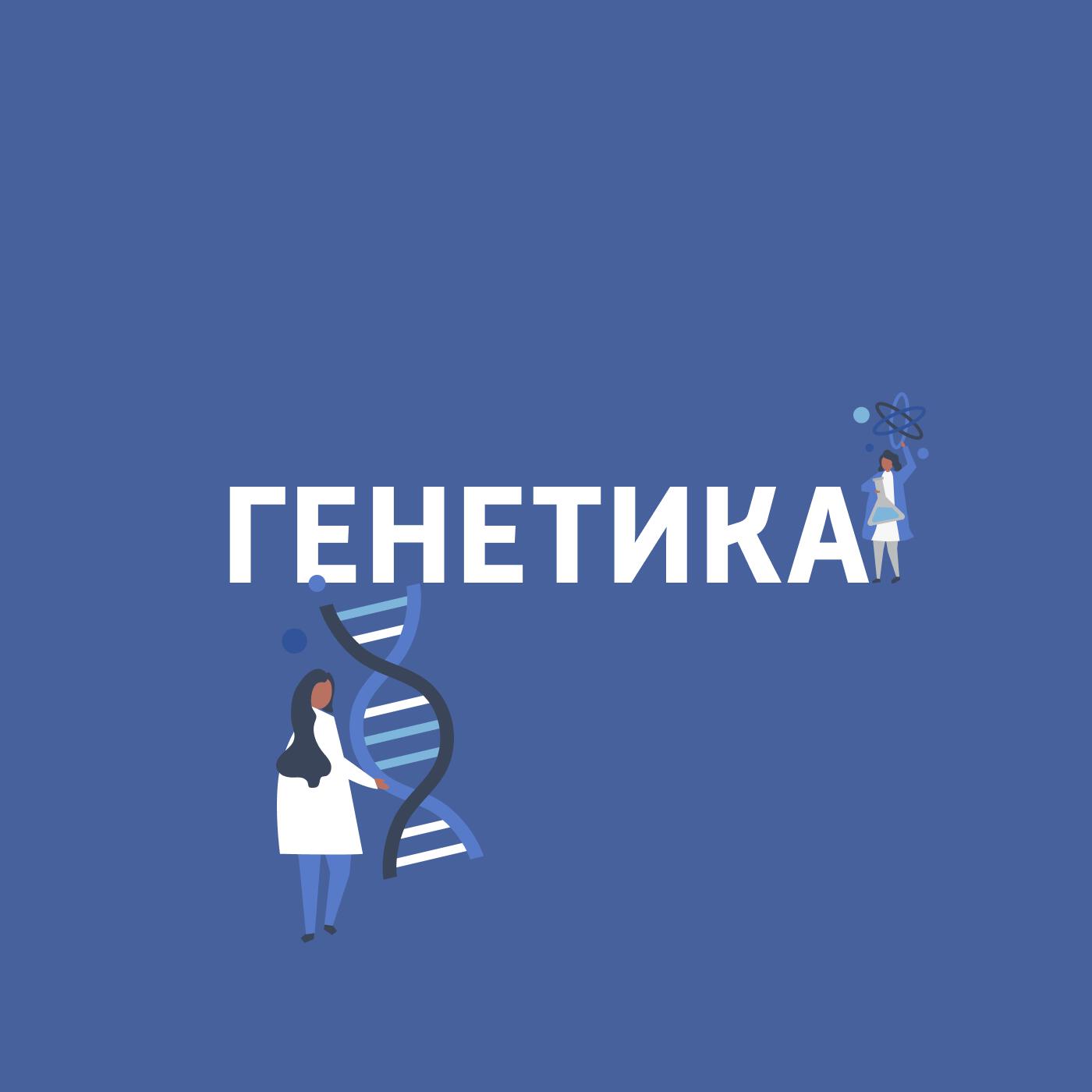 Генетика