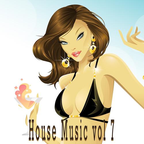 Постер альбома House Music, Vol. 7