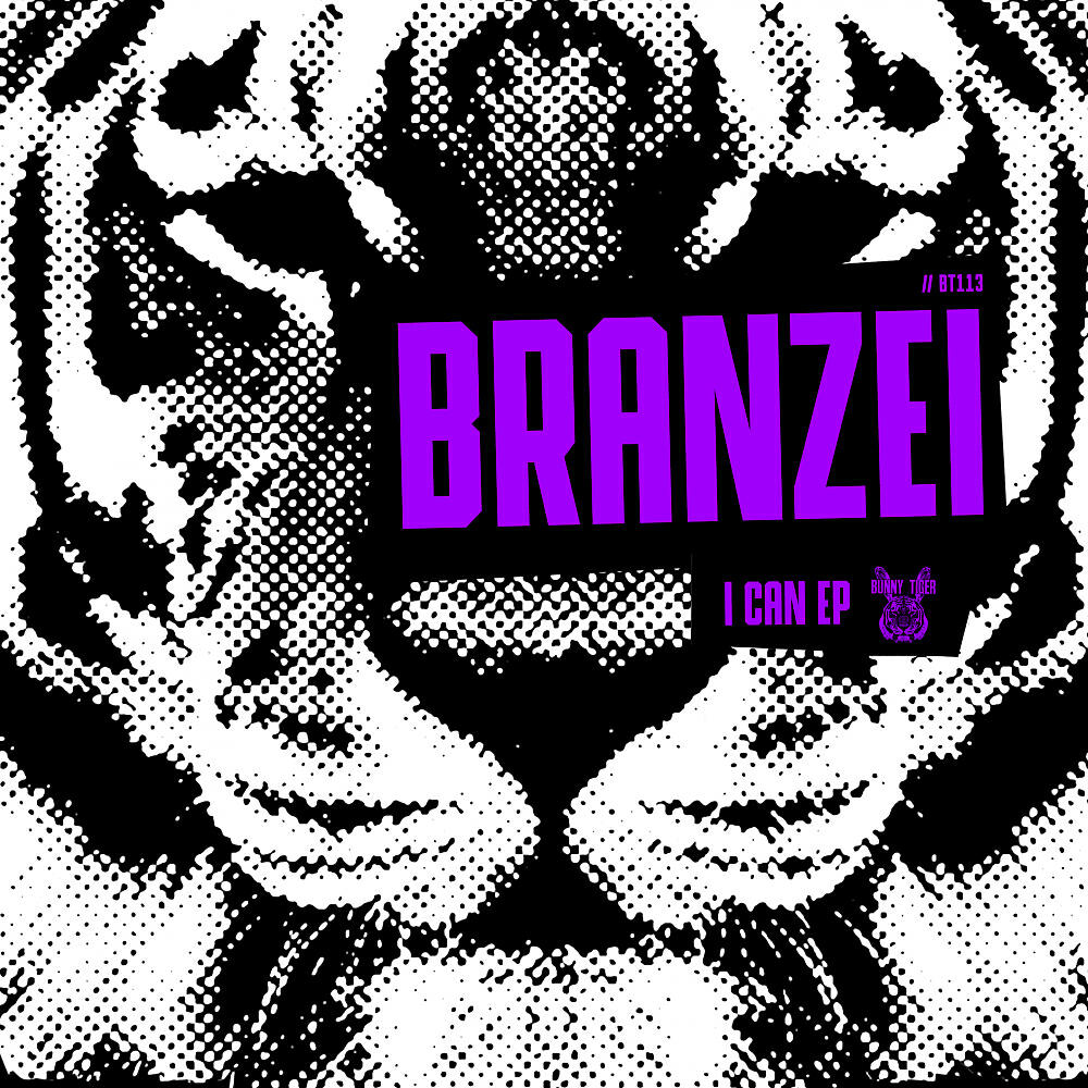 Branzei - The Message (Original Mix)
