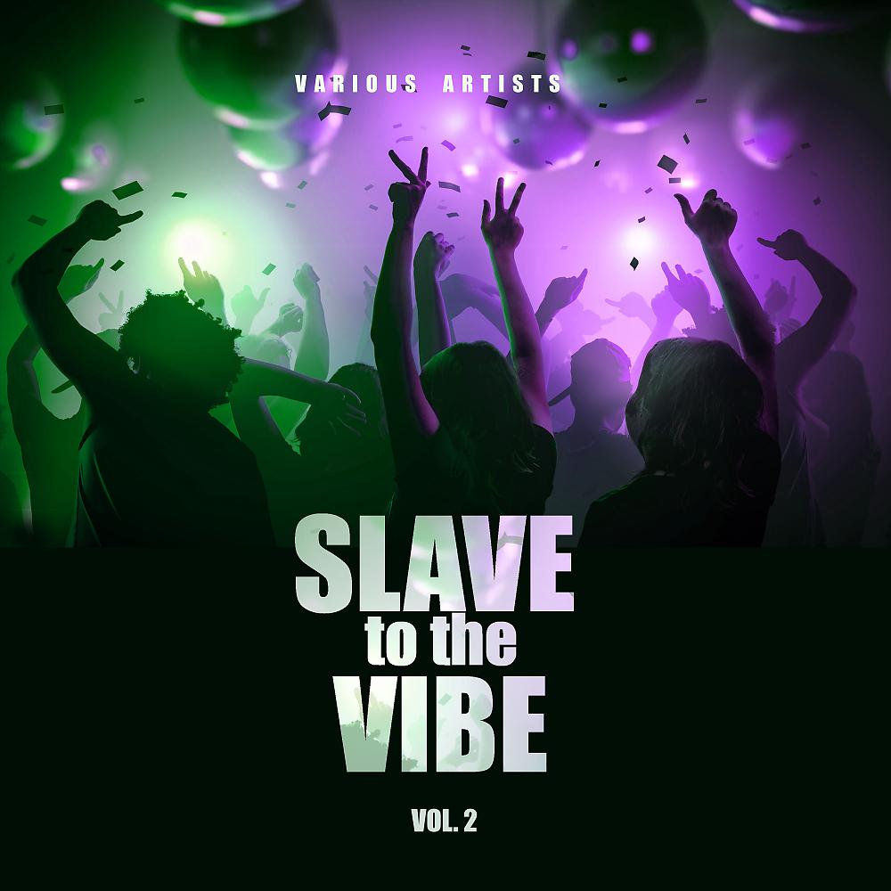 Постер альбома Slave To The Vibe, Vol. 2