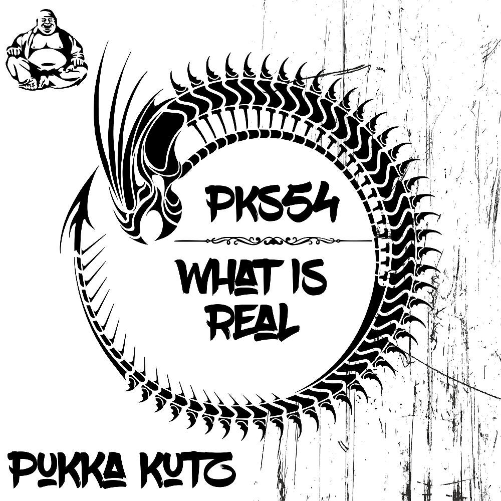 SilverFox - What Is Real (Original Mix)