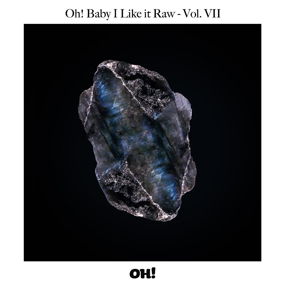 Постер альбома Oh! Baby I Like It Raw, Vol. 6