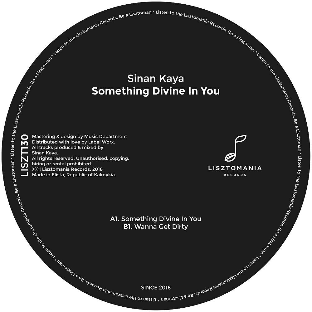 Sinan Kaya - Something Divine In You (Original Mix)