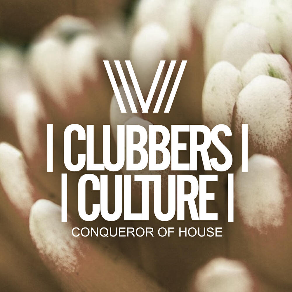 Bunker - The Horn (David Souza Remix)