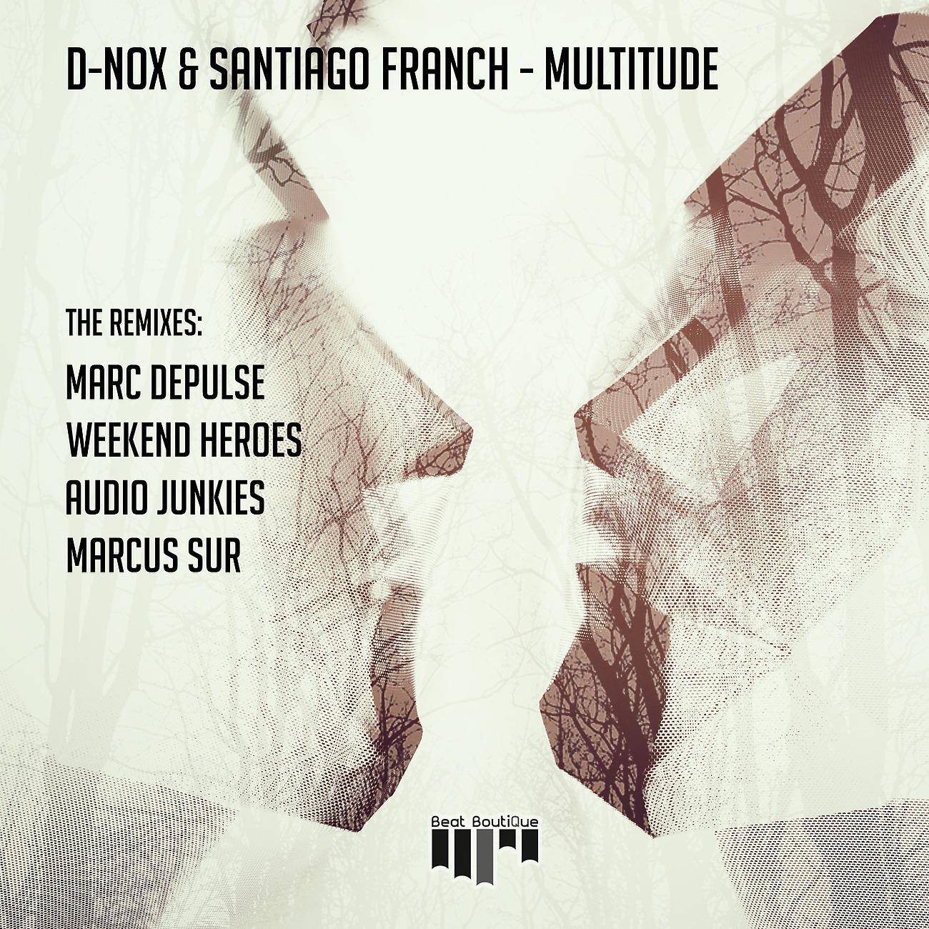 Постер альбома Multitude Remixes